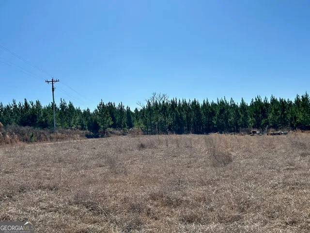 a view of yard with tree in the background