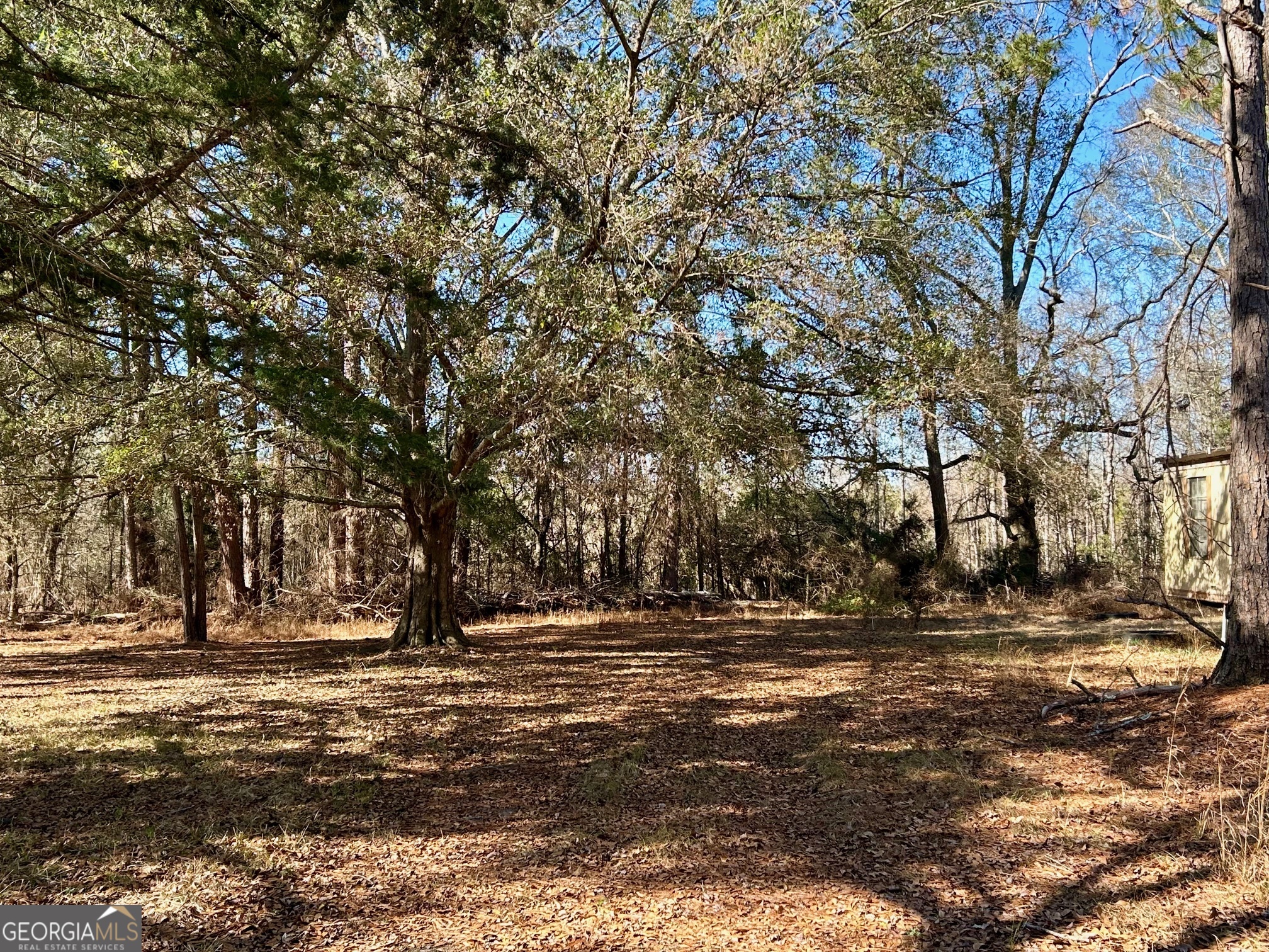 201 Claude Anderson Road Claxton, GA 30417 - Photo 35 of 41