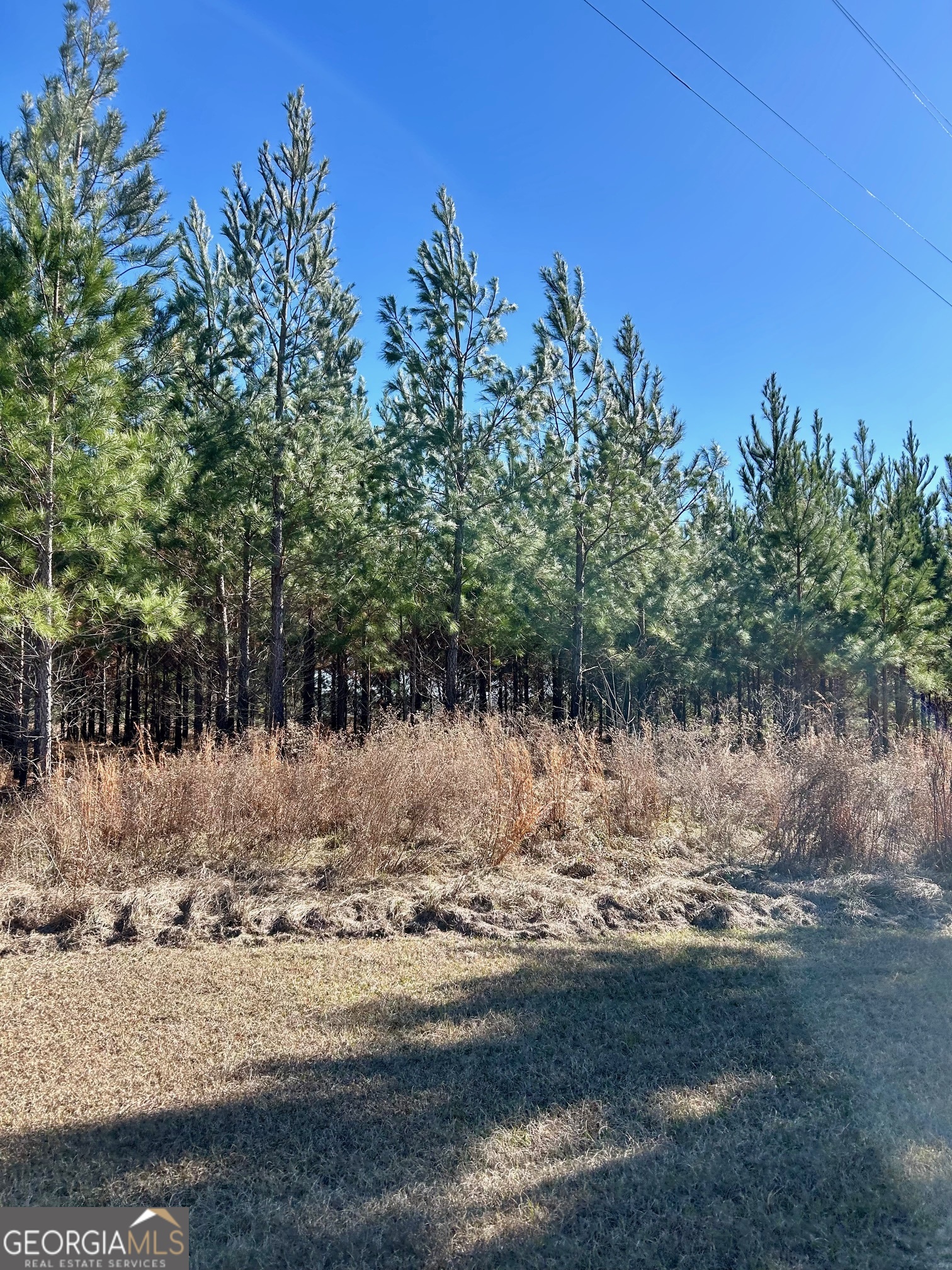 201 Claude Anderson Road Claxton, GA 30417 - Photo 37 of 41