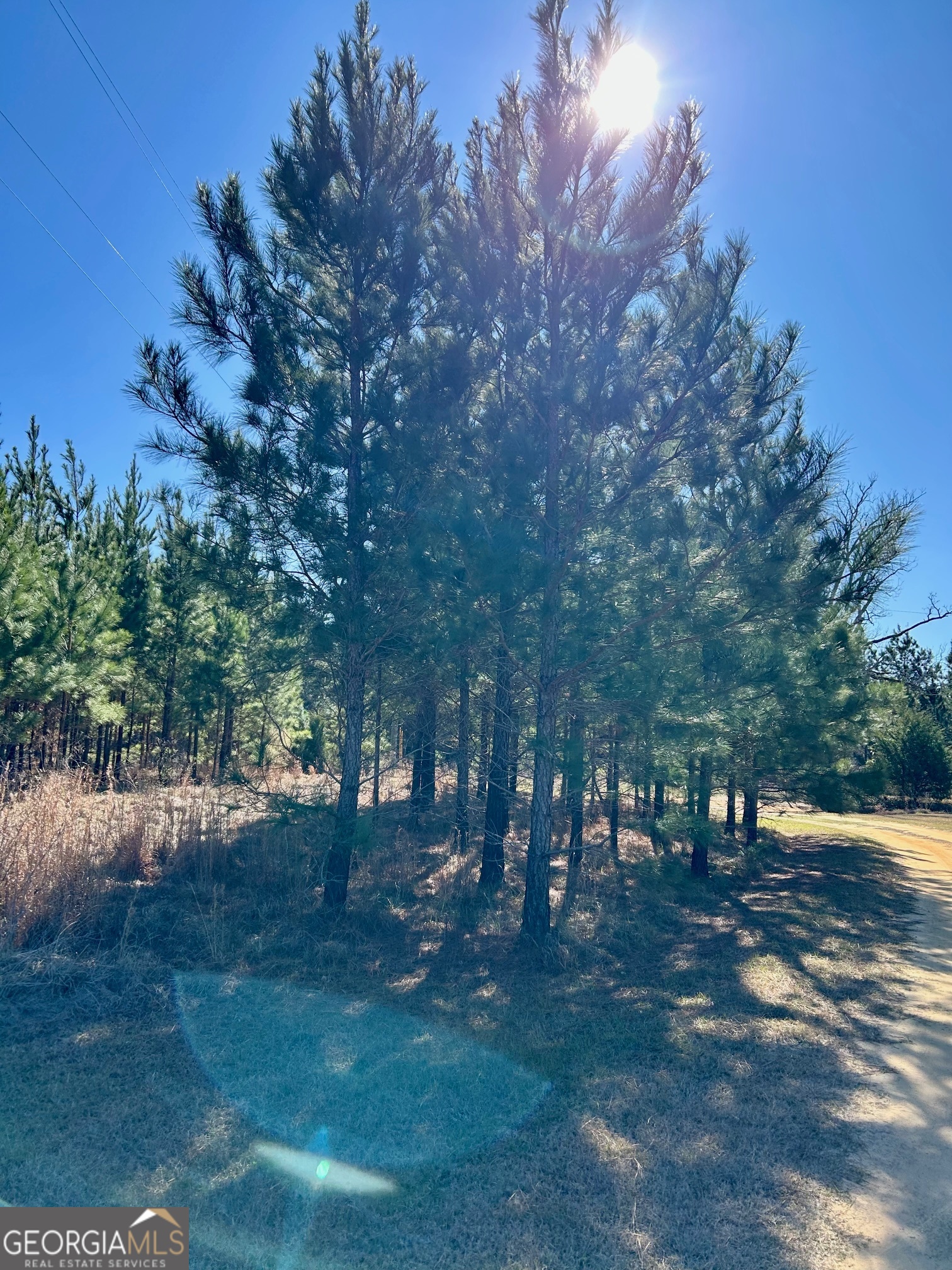 201 Claude Anderson Road Claxton, GA 30417 - Photo 39 of 41