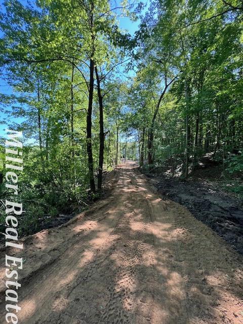 V/l Wood School Road Freeport, MI 49325 - Photo 6 of 16 ACEB42EB-F17D-4A41-8624-E62ABE512166