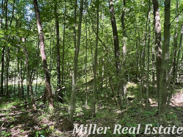 V/l Wood School Road Freeport, MI 49325 - Photo 10 of 16 10BBBB83-1DE0-4CEB-9FAA-0EB95CD9A64F