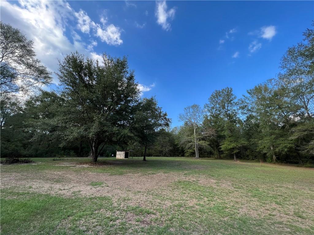 55217 Old Uneedus Road Loranger, LA 70446 - Photo 23 of 26 Gallery Image 23