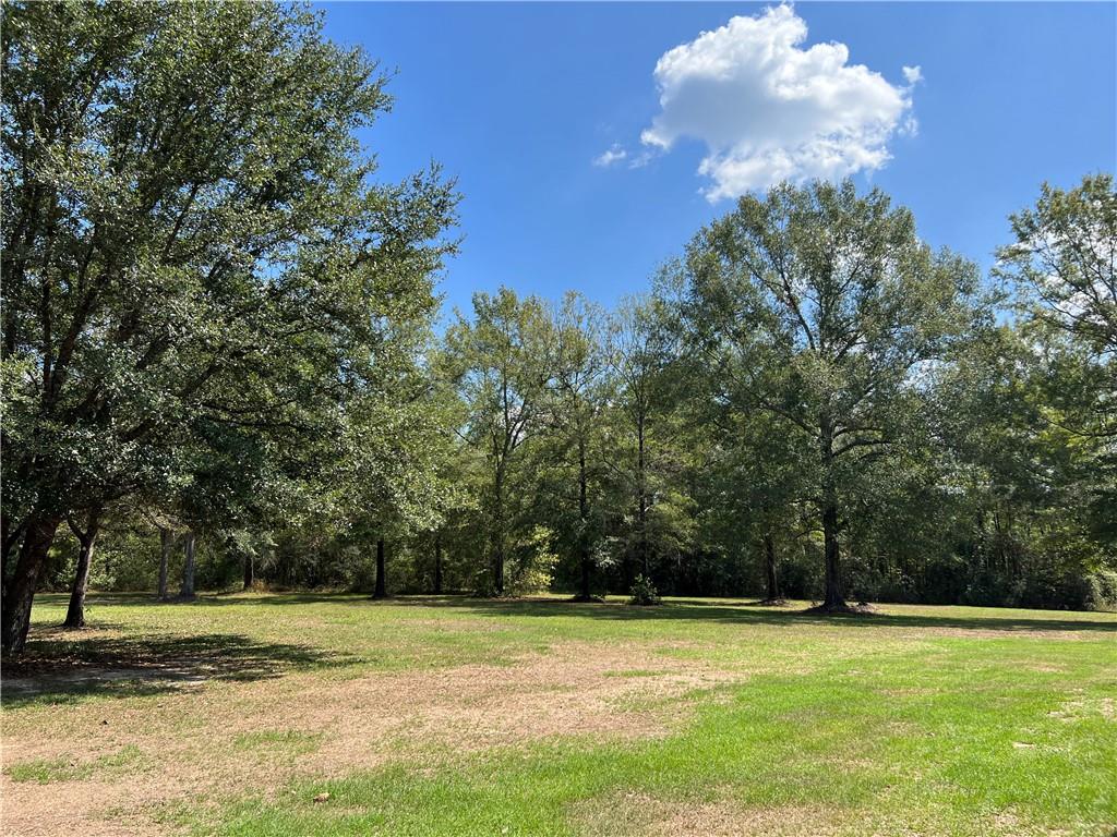 55217 Old Uneedus Road Loranger, LA 70446 - Photo 3 of 26 Gallery Image 3