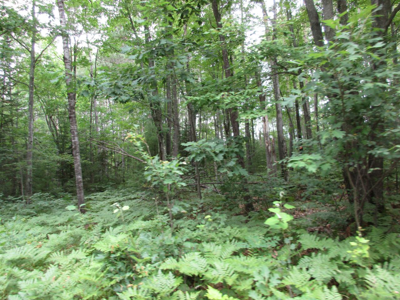 Off Shore Drive Rhinelander, WI 54501 - Photo 1 of 6