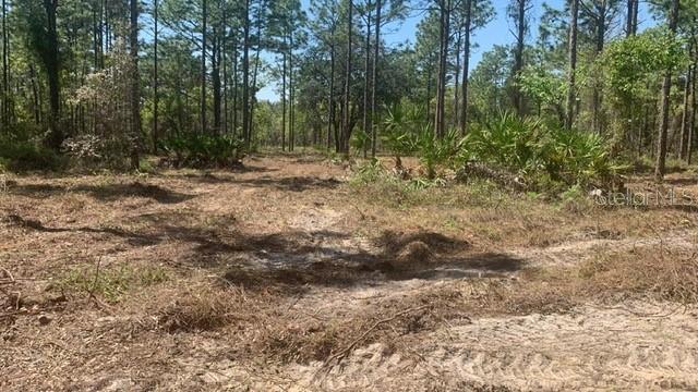 16417 Curlew Road Brooksville, FL 34614 - Photo 1 of 1 Gallery Image 1
