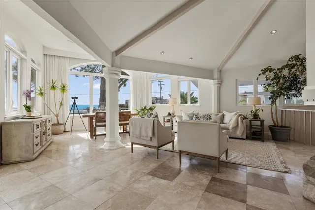 a living room with furniture fireplace and a potted plant