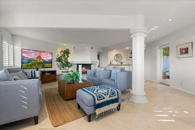 a living room with furniture and a potted plant