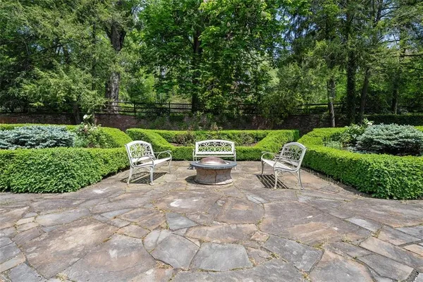 a view of a backyard with garden and plants