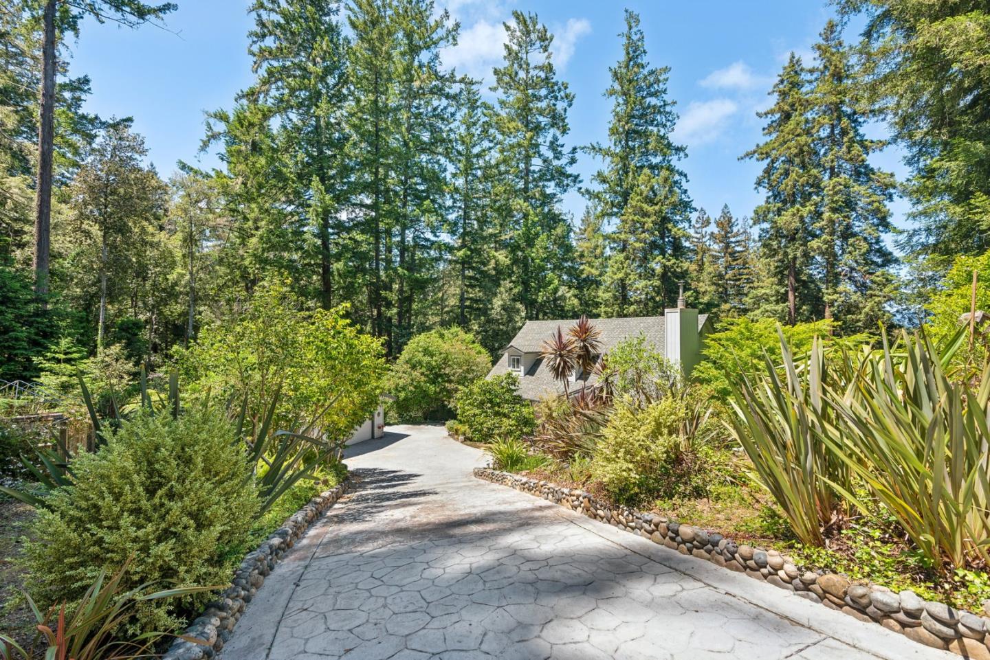 141 William Way Felton, CA 95018 - Photo 42 of 54 a view of a garden with plants