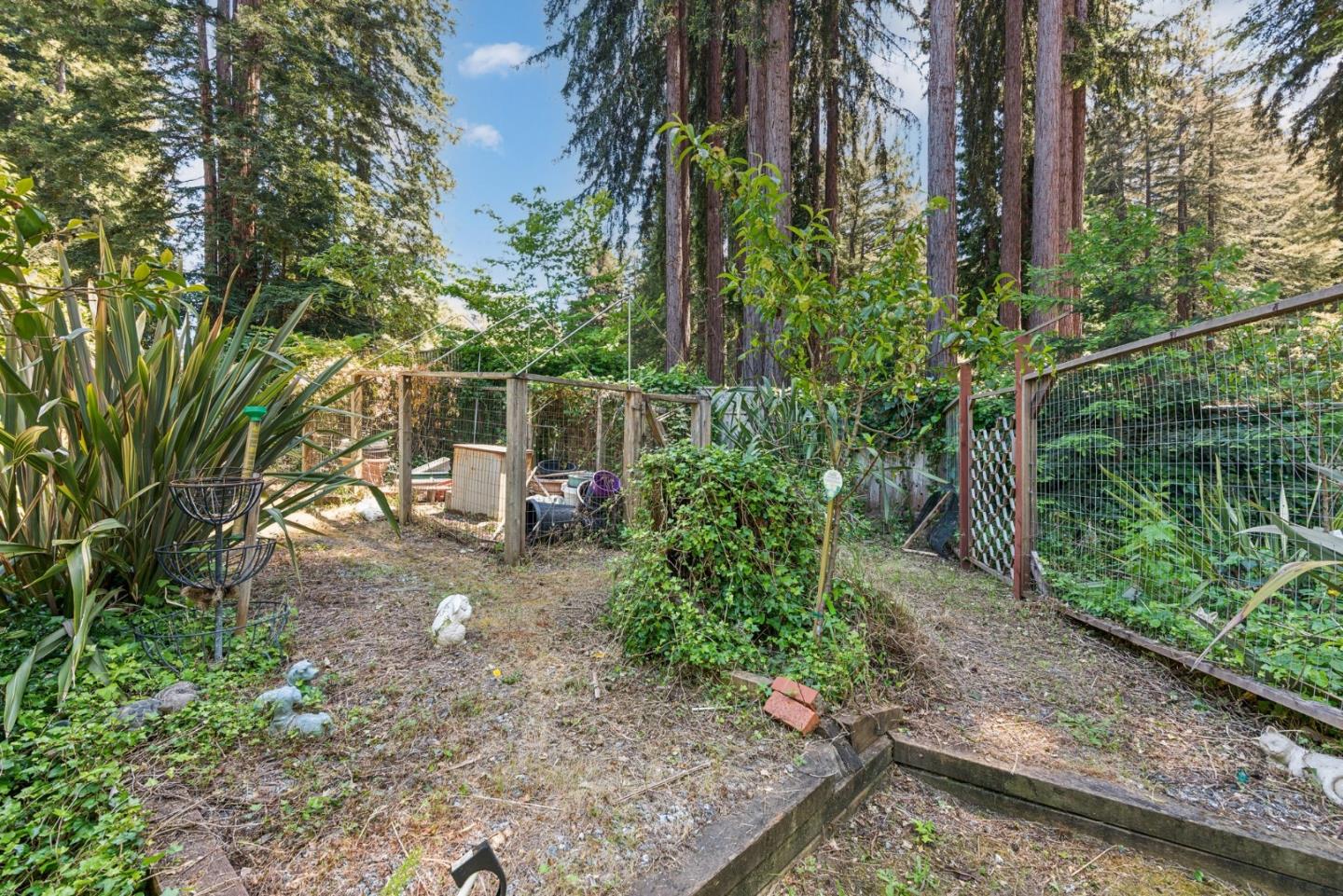 141 William Way Felton, CA 95018 - Photo 43 of 54 a view of a backyard with plants and large trees
