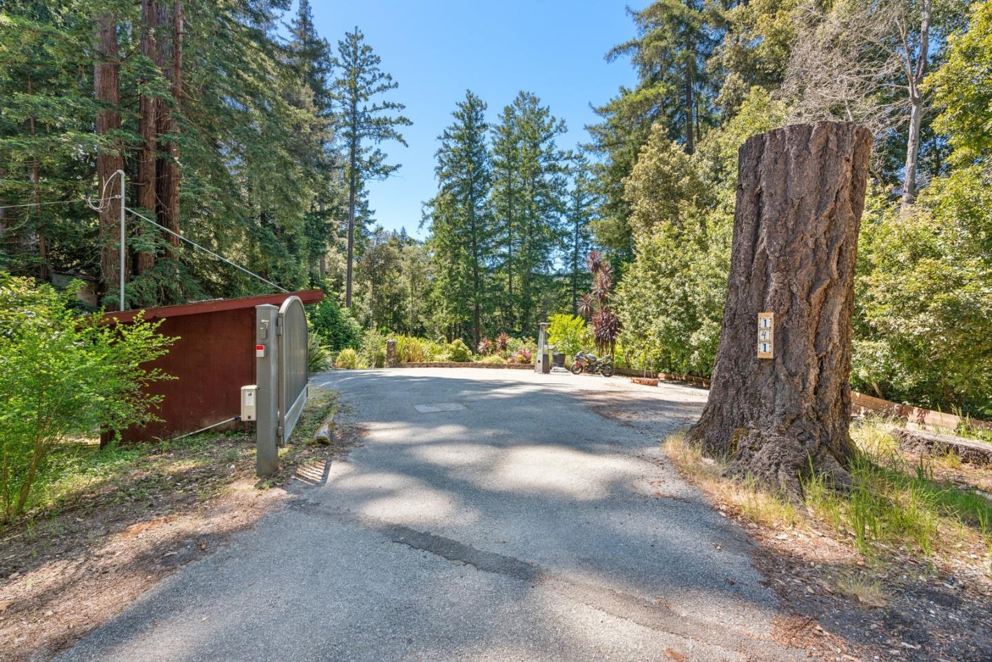 141 William Way Felton, CA 95018 - Photo 49 of 54 a view of a yard with plants and trees
