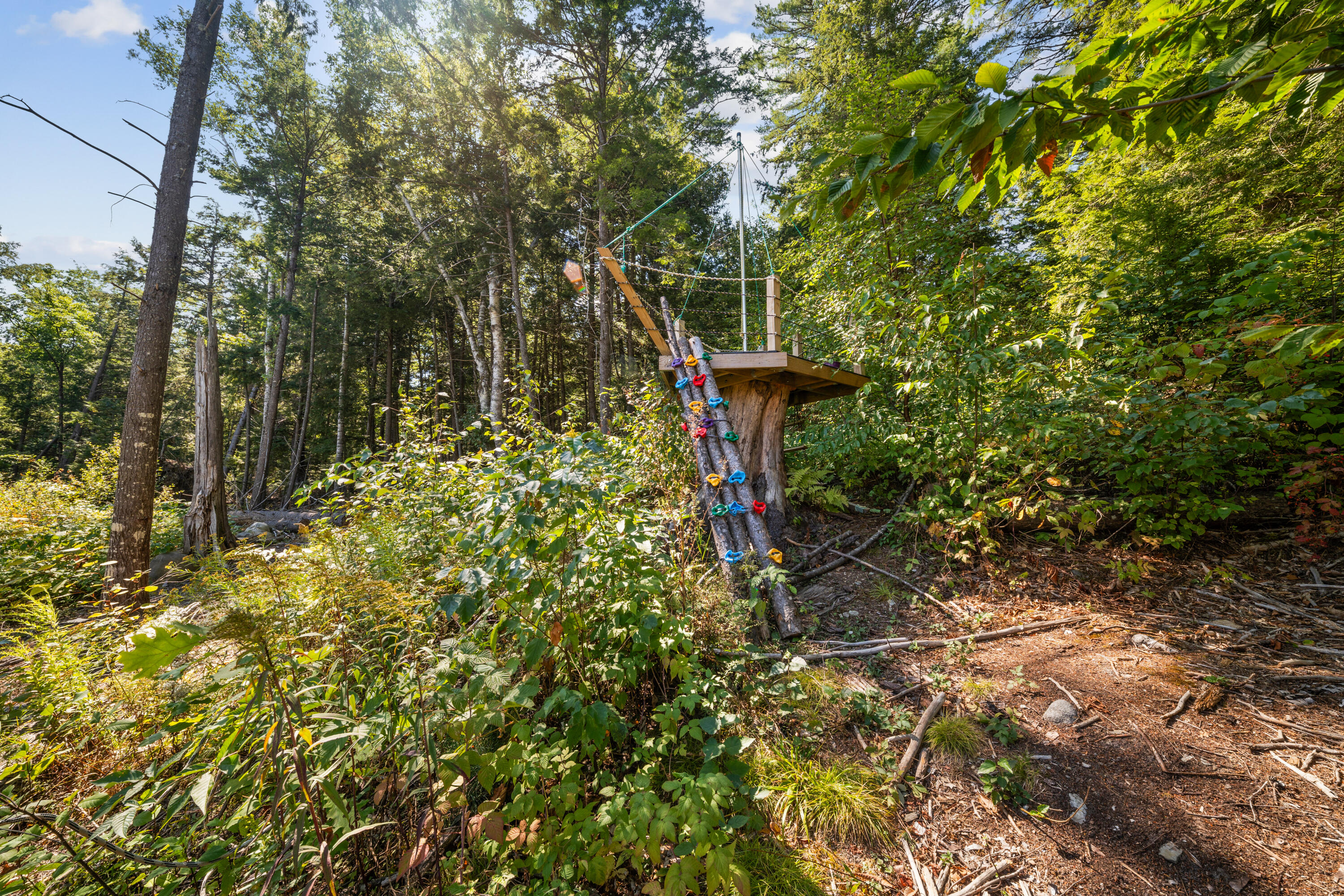 8 Shadbush Lane Orono, ME 04473 - Photo 64 of 72 DSC08063