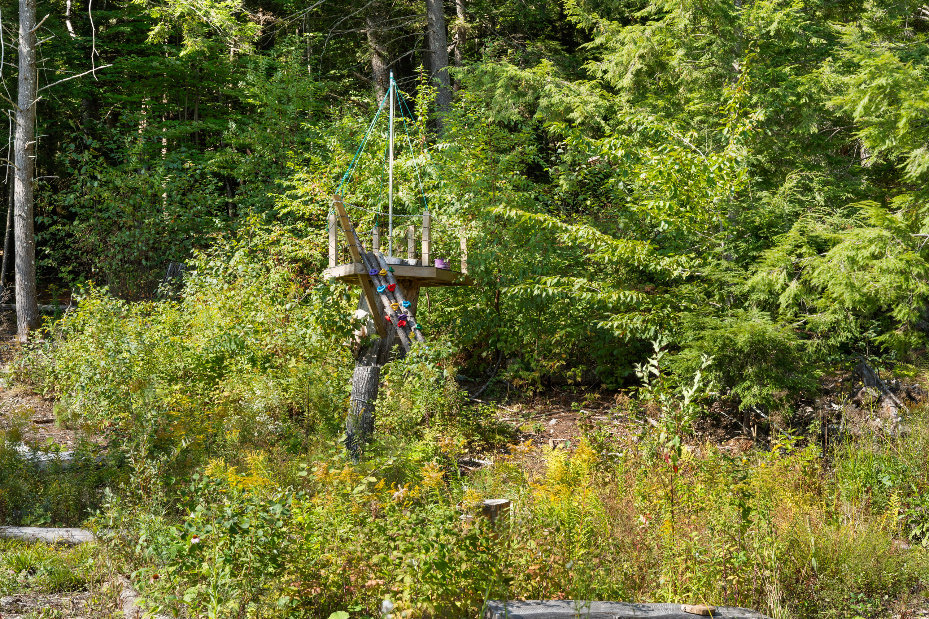 8 Shadbush Lane Orono, ME 04473 - Photo 65 of 72 DSC07758