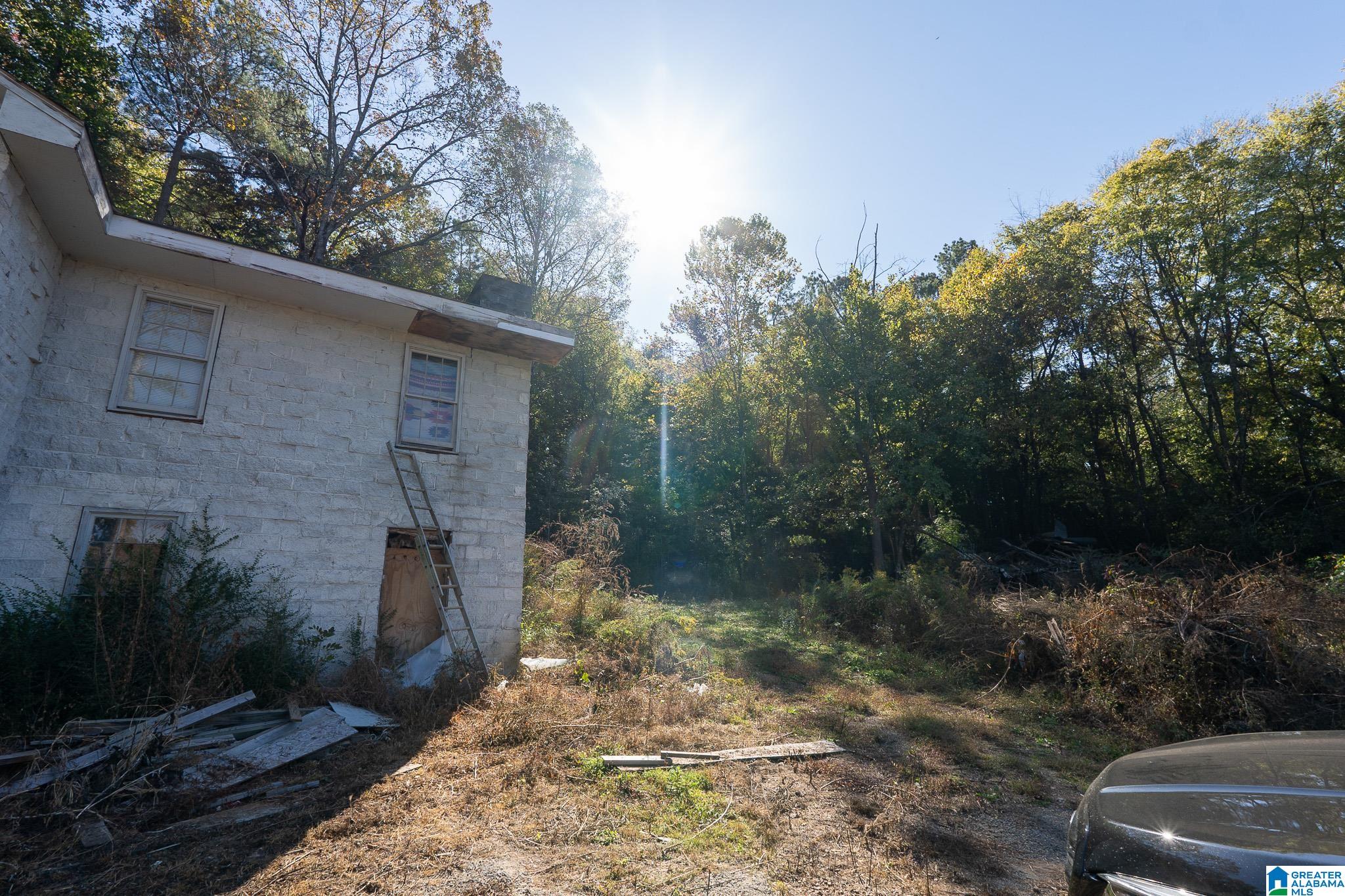 8381 North Valley Road Pinson, AL 35126 - Photo 4 of 62