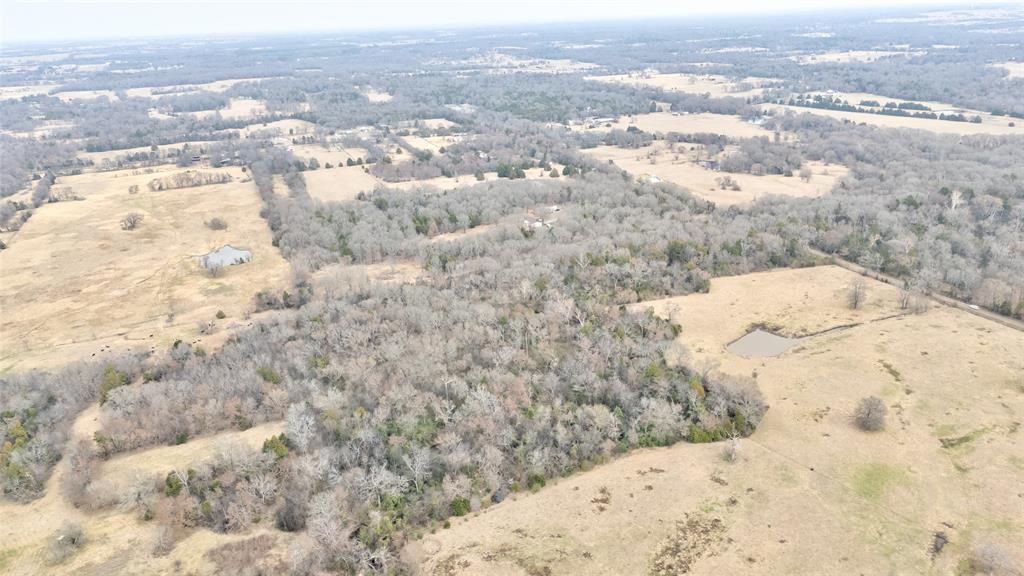 1411 Vz County Road 2139 Wills Point, TX 75169 - Photo 36 of 38