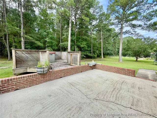 a view of a park with large trees