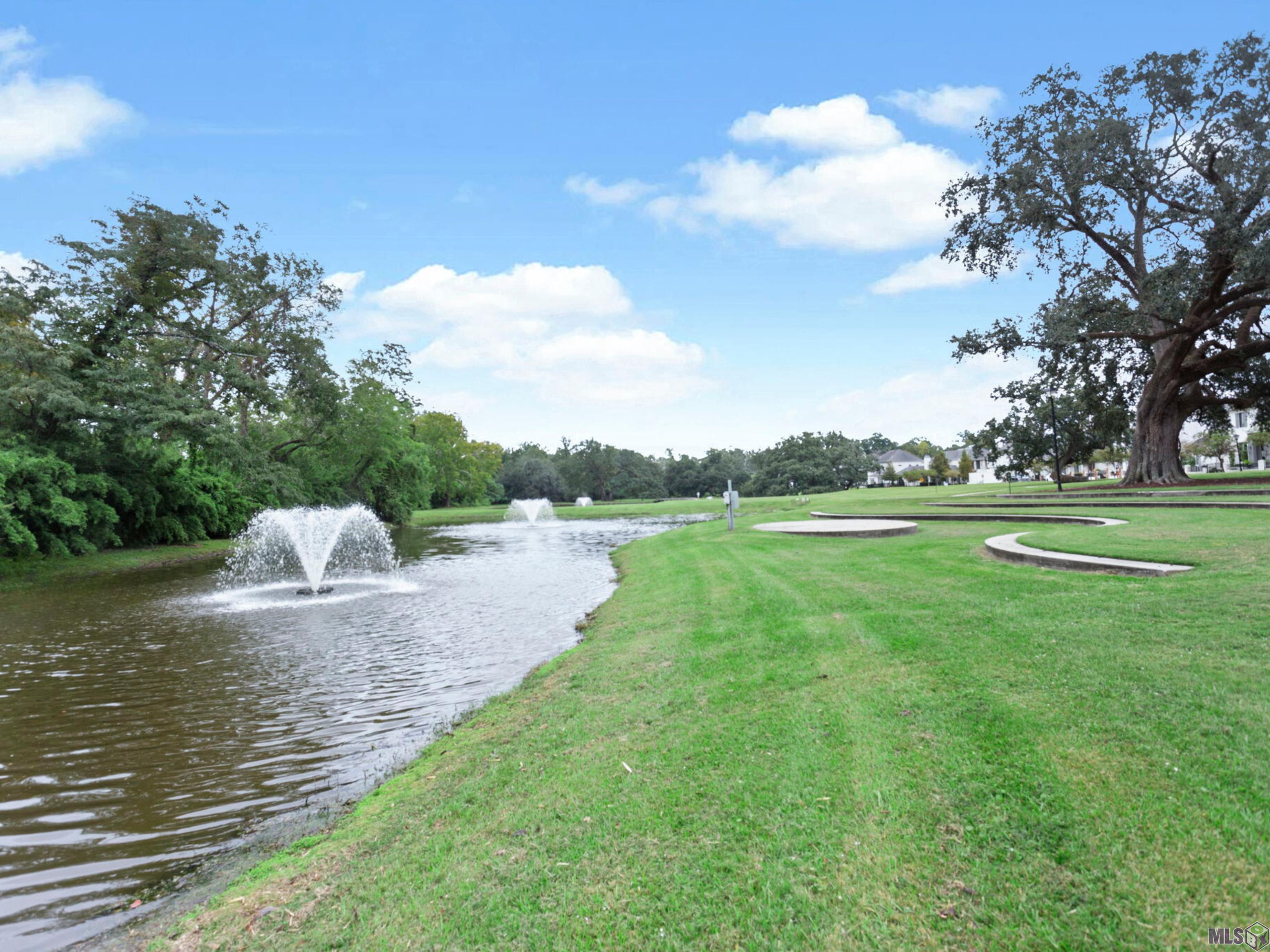 8201 Village Plaza Court, Unit 3B Baton Rouge, LA 70810 - Photo 15 of 15 Community Stocked Pond