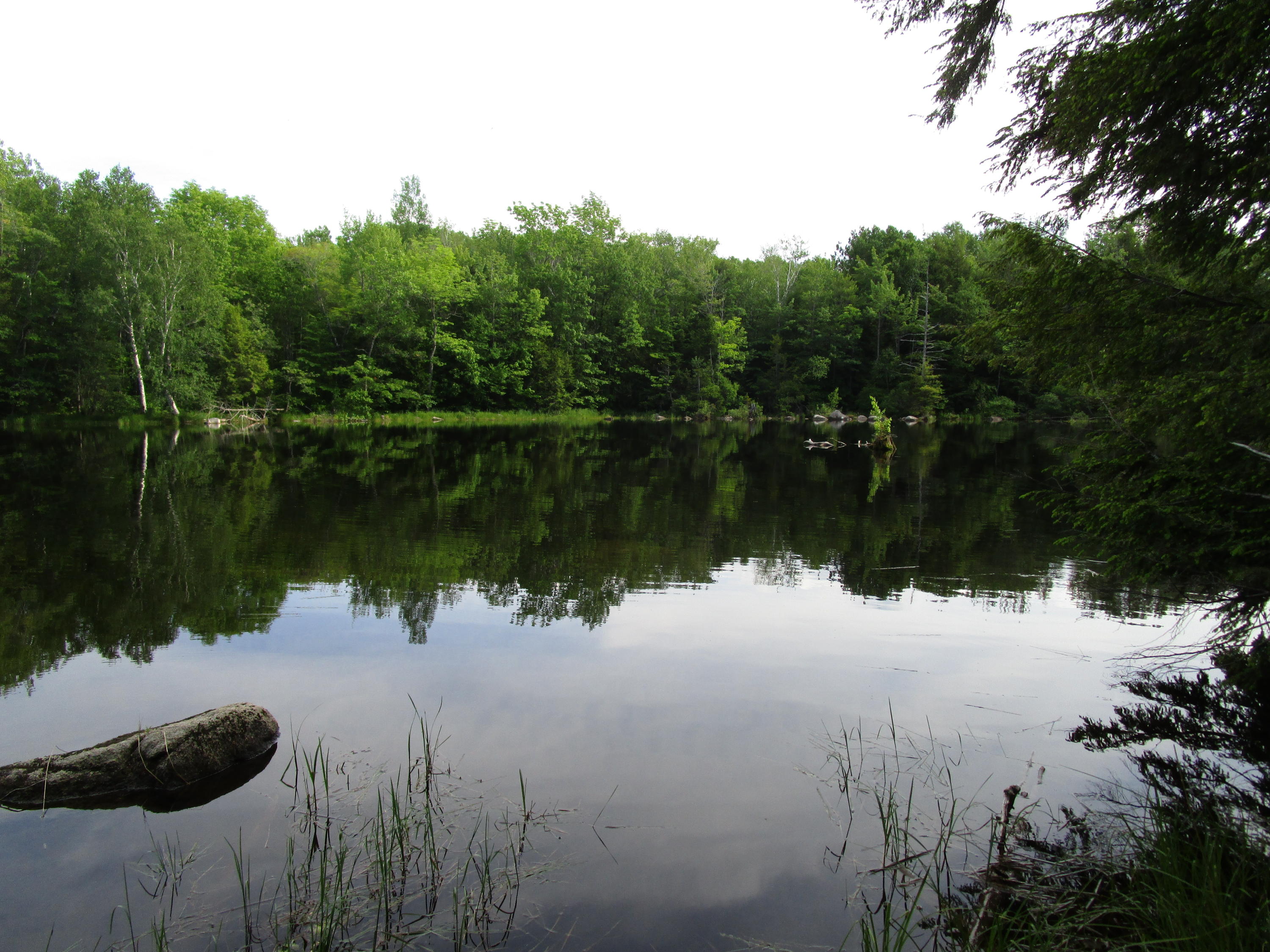 Lot#6 Elbow Lake Road Millinocket, ME 04462 - Photo 14 of 14 IMG_0716