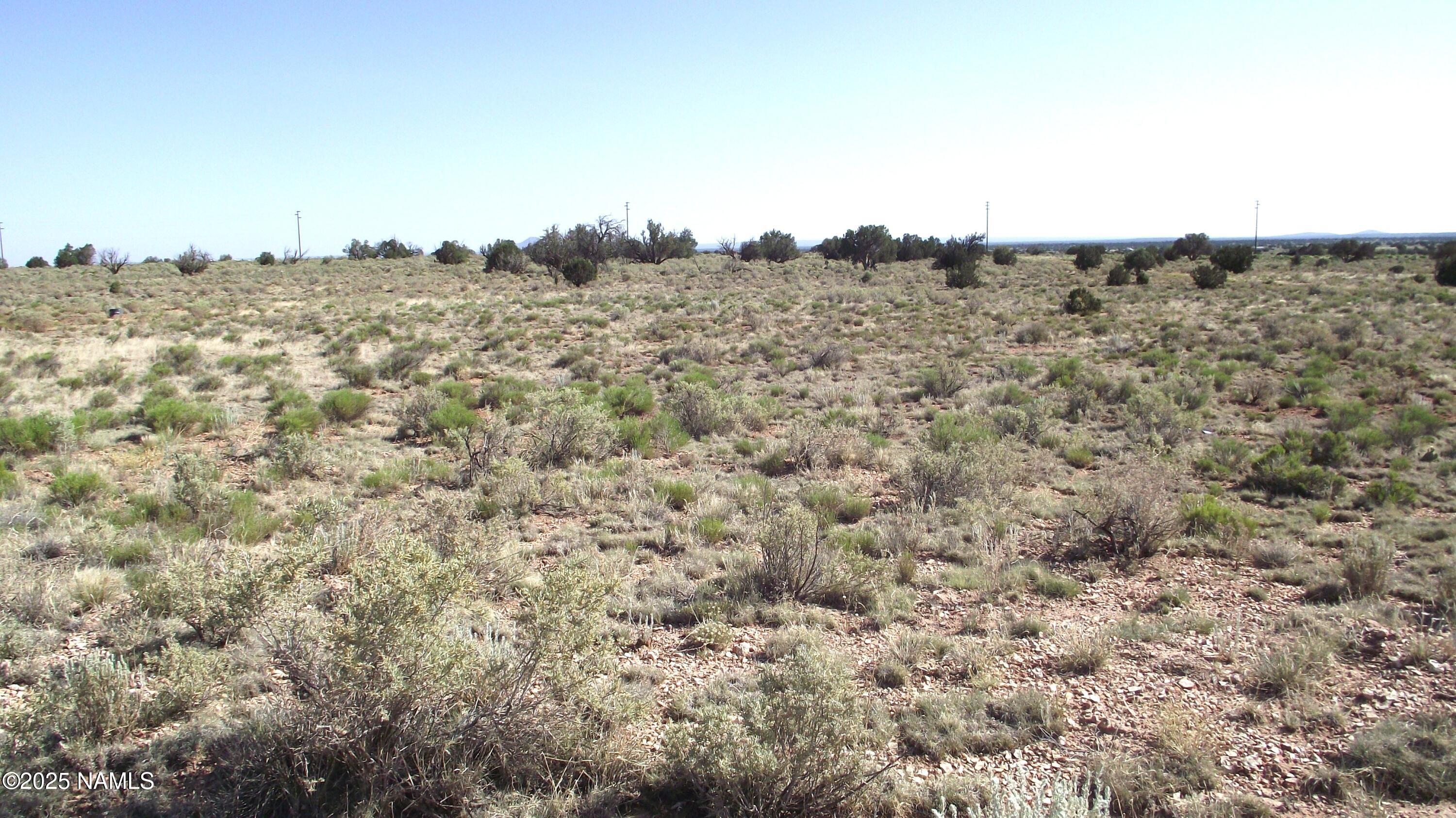 3725 South Carmen Road Williams, AZ 86046 - Photo 2 of 9 a view of a dry space with lots of trees
