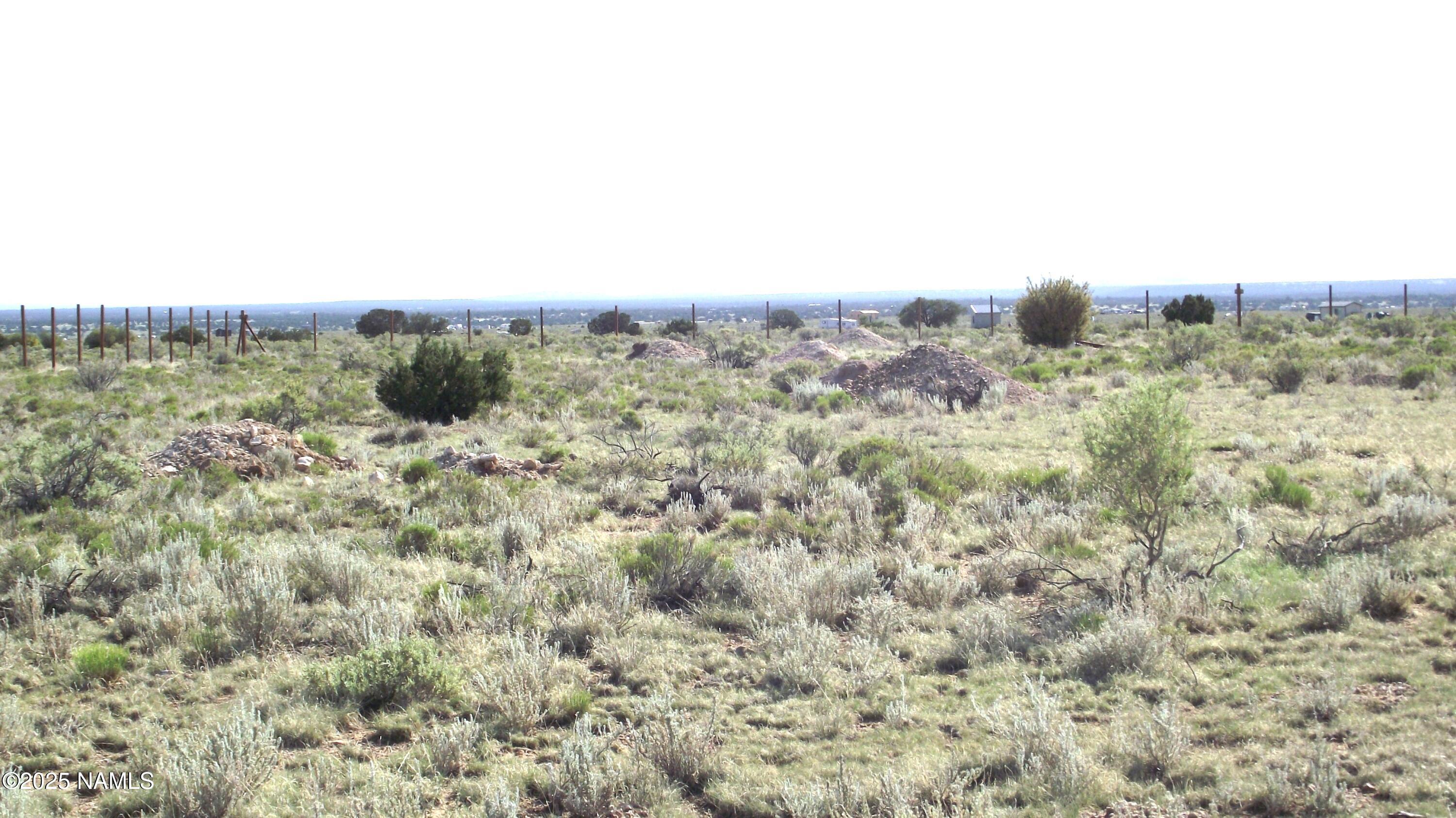 3725 South Carmen Road Williams, AZ 86046 - Photo 5 of 9 a view of a dry yard with trees in the background