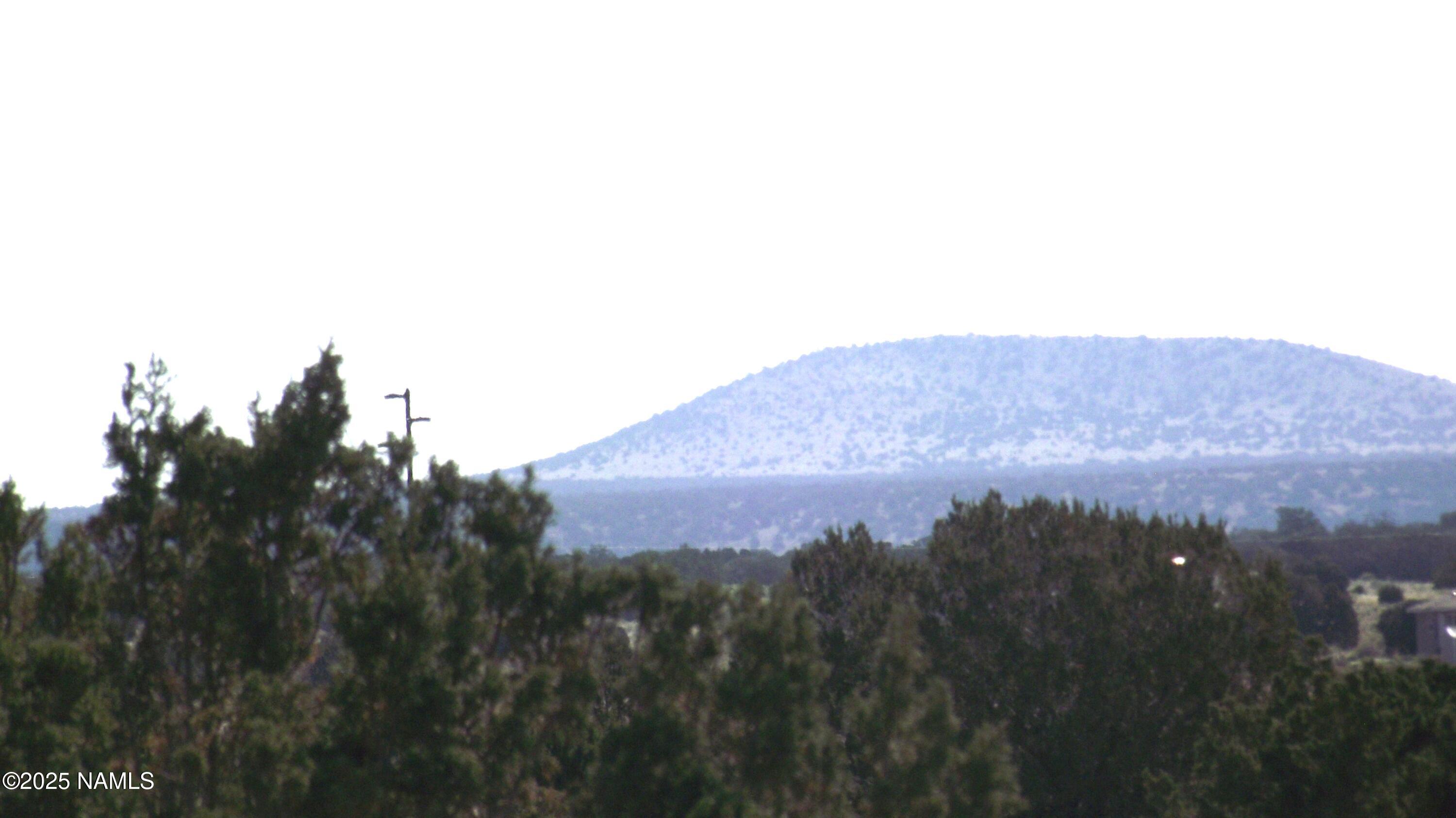 3725 South Carmen Road Williams, AZ 86046 - Photo 6 of 9 a view of a house with a yard