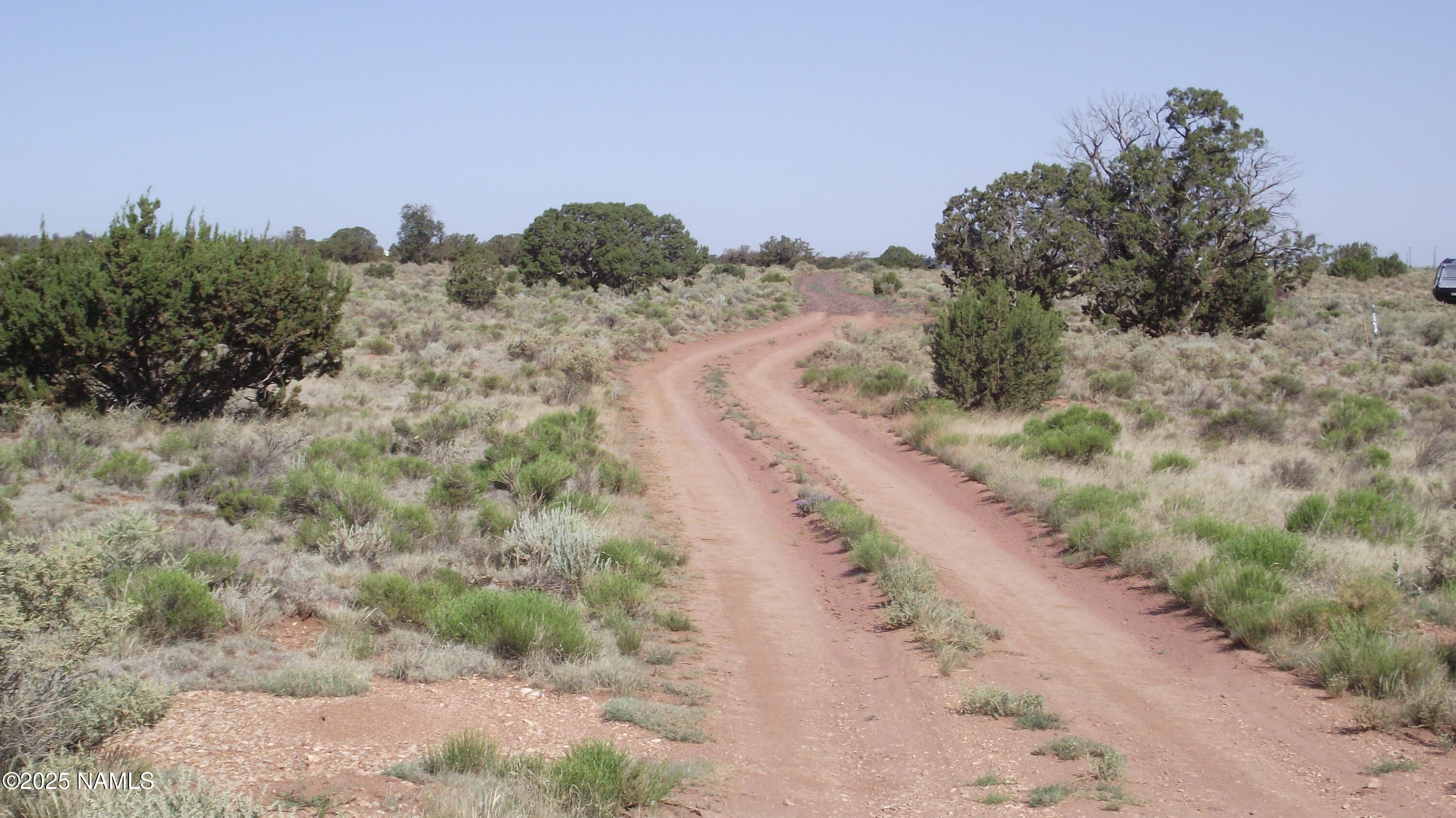 3725 South Carmen Road Williams, AZ 86046 - Photo 8 of 9 a view of a road with a yard