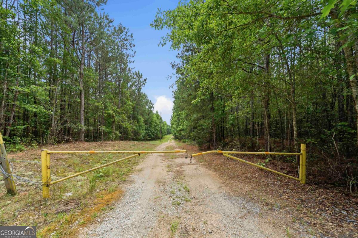 0 Pear Orchard Road Greensboro, GA 30642 - Photo 8 of 34