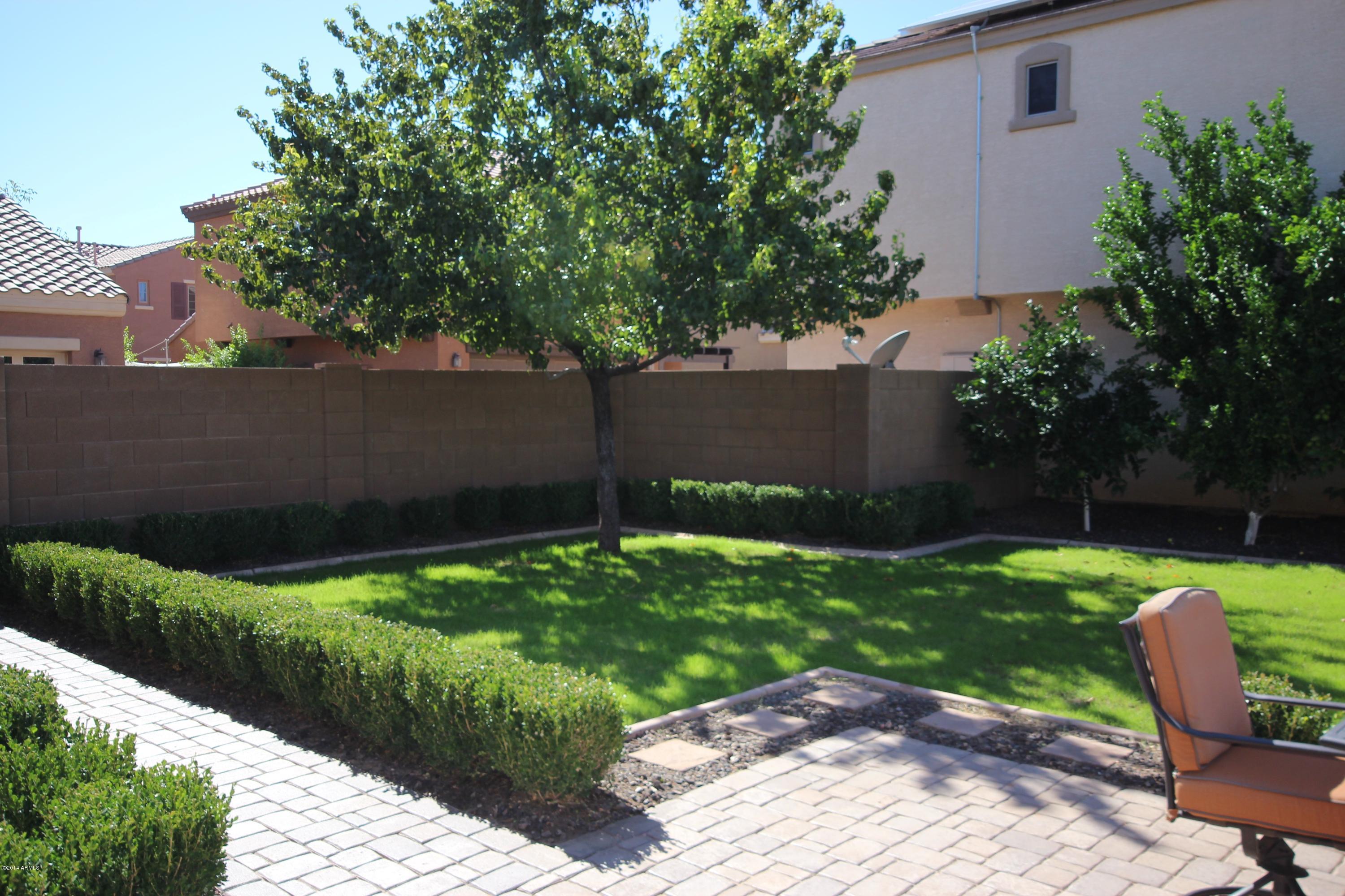 1634 South Martingale Road Gilbert, AZ 85295 - Photo 8 of 36 Backyard