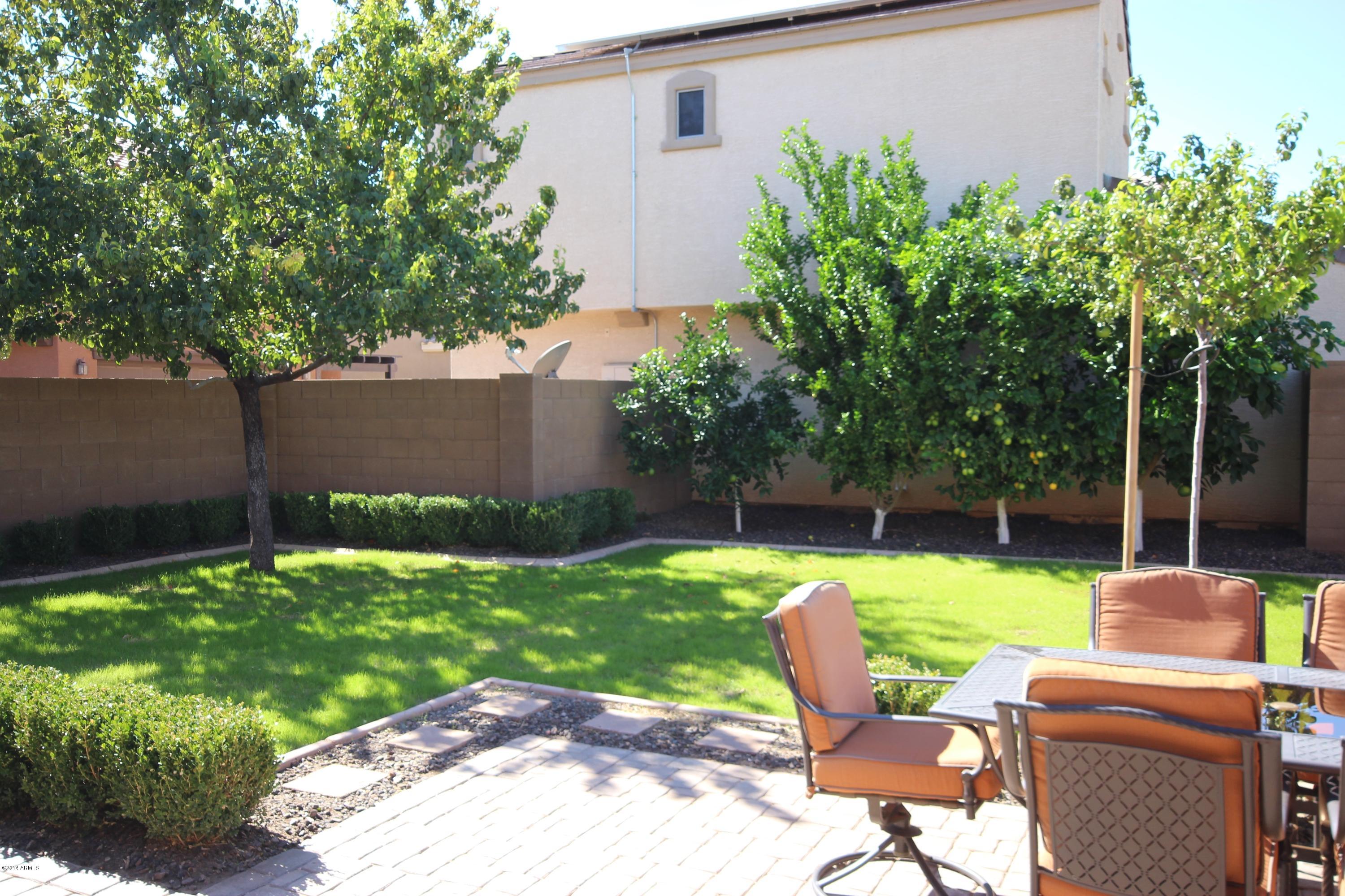 1634 South Martingale Road Gilbert, AZ 85295 - Photo 9 of 36 Fruit trees in backyard