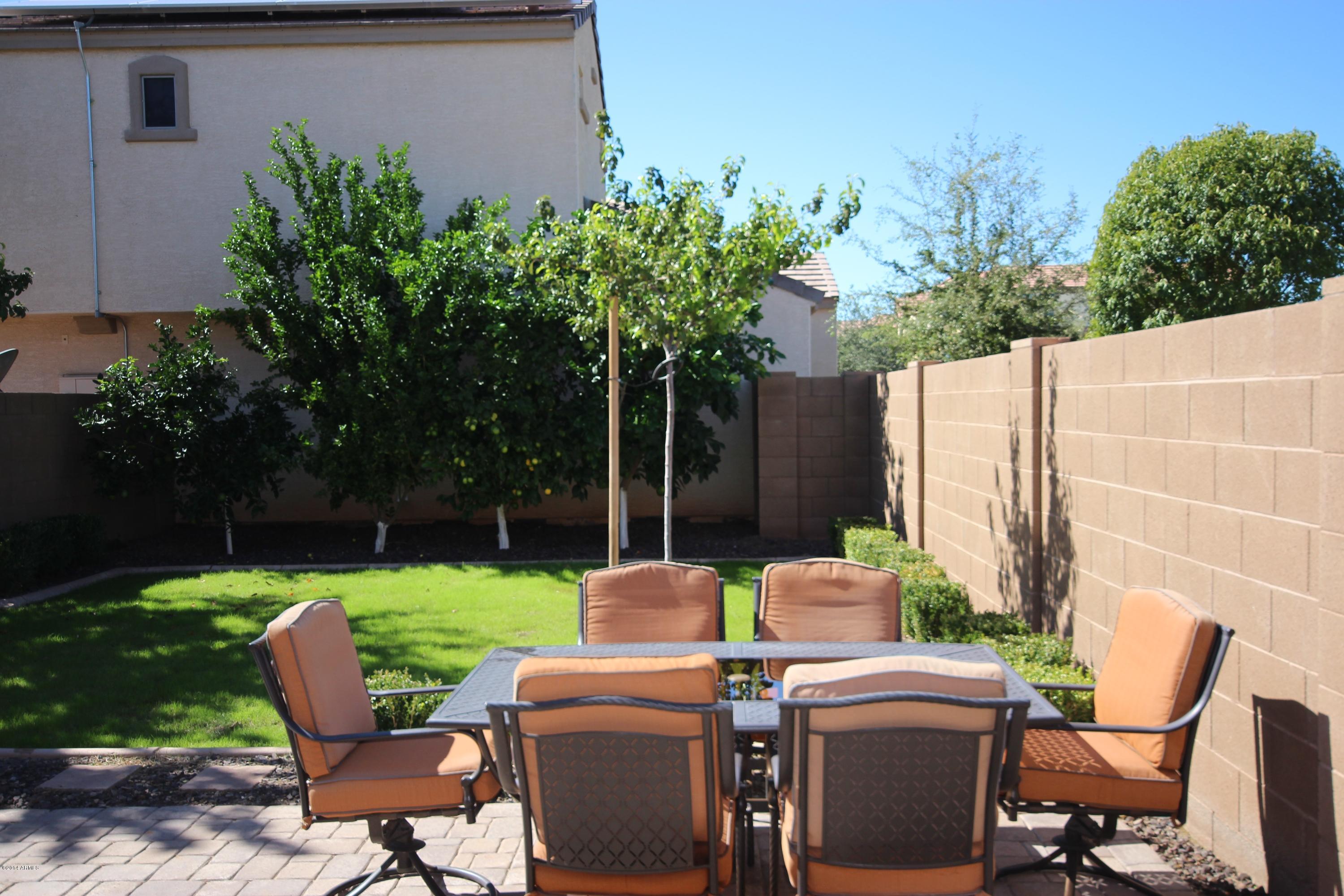 1634 South Martingale Road Gilbert, AZ 85295 - Photo 10 of 36 Fruit trees in backyard