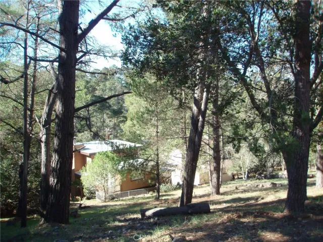 a view of a yard with a tree