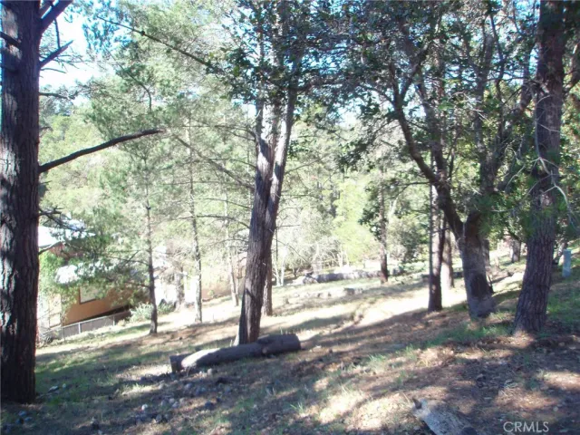 a view of a backyard of the house