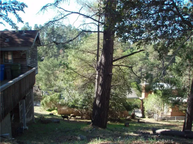 a view of a road with trees beside of it