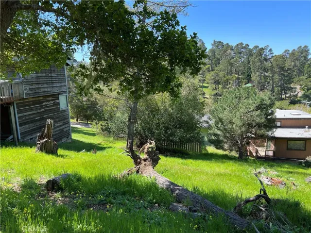 a view of a backyard with swimming pool