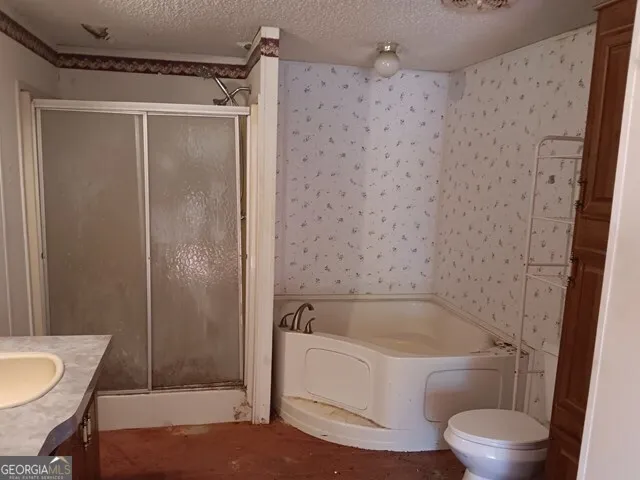 a bathroom with a bathtub and a toilet