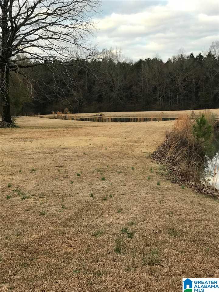 1547 Fulton Gap Road Sylacauga, AL 35150 - Photo 7 of 46