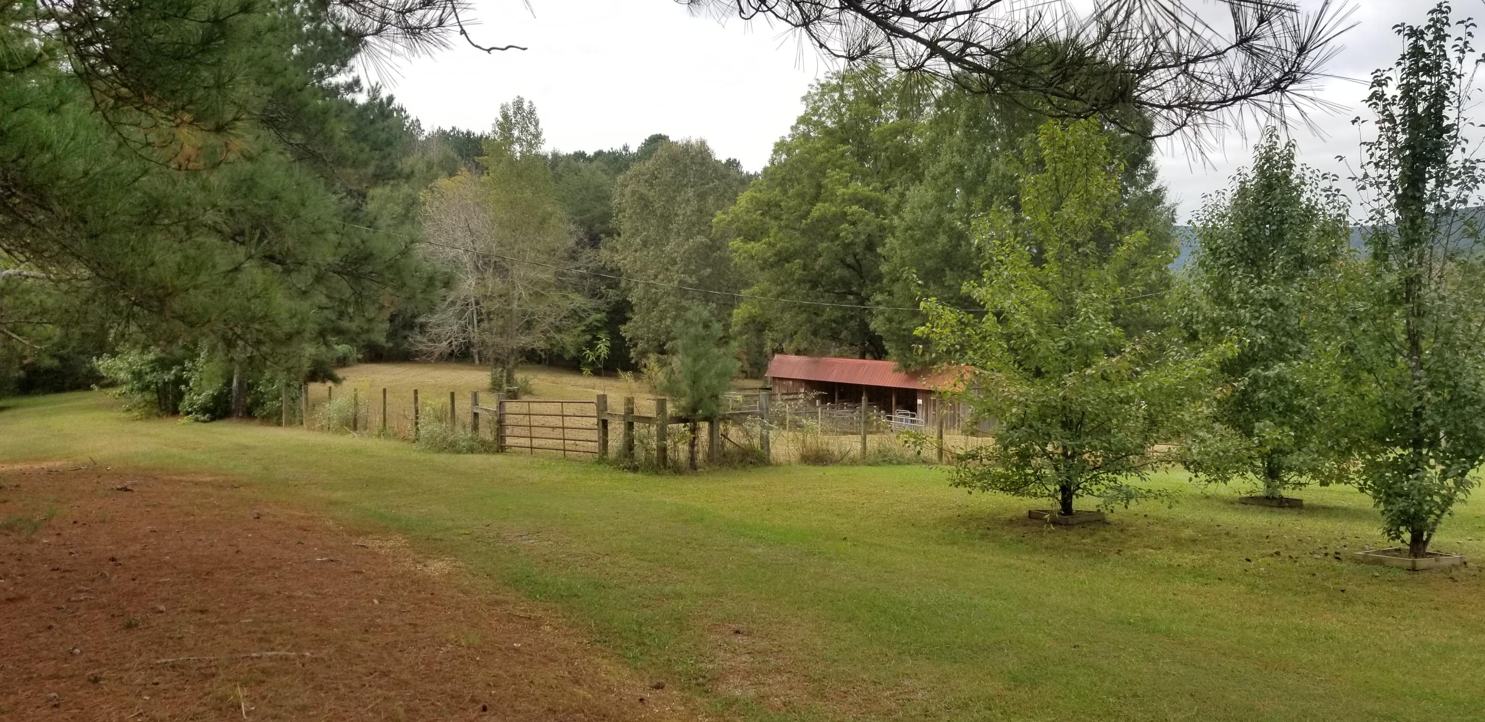 645 Carter Road, Unit 914A Menlo, GA 30731 - Photo 11 of 24 20181019_103642