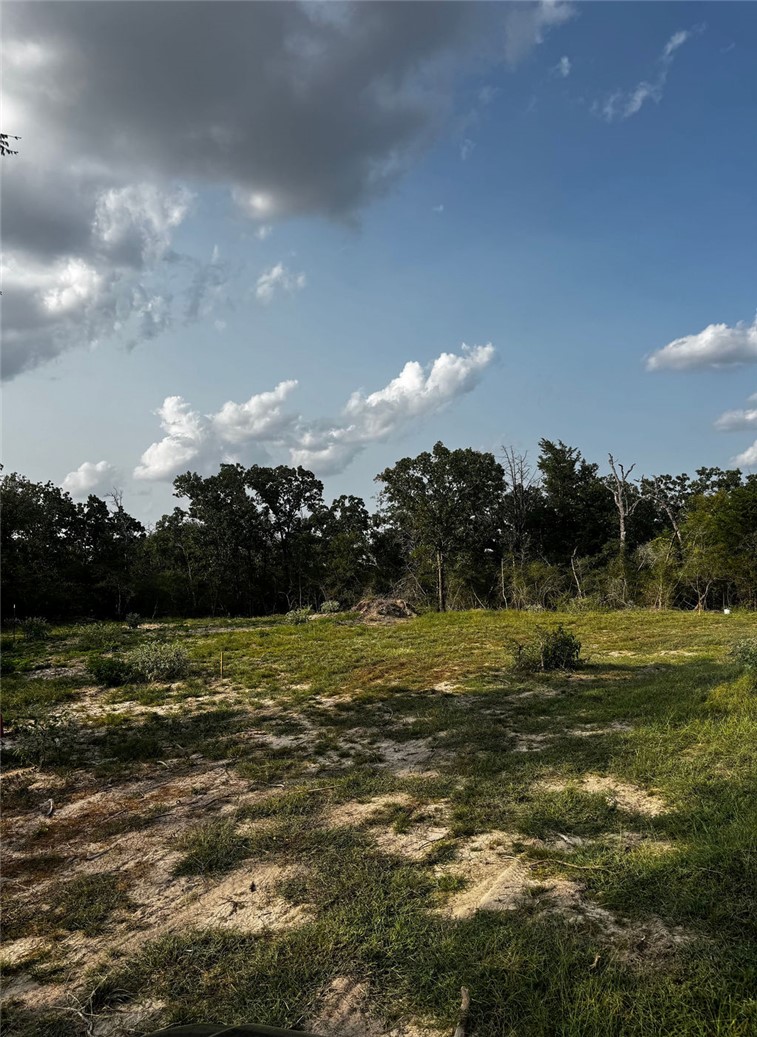 1178 Pin Oak Road Franklin, TX 77856 - Photo 11 of 15 Gallery Image 11