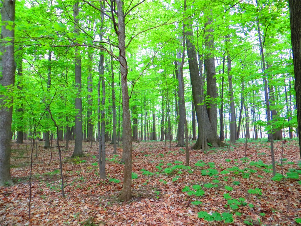 Taylor Road Mendon, NY 14506 - Photo 11 of 18 Minutes to Mendon Ponds Park