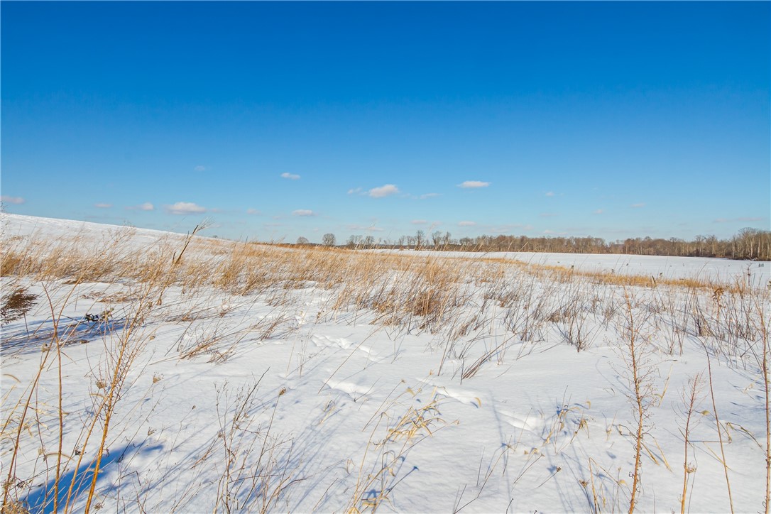 Taylor Road Mendon, NY 14506 - Photo 13 of 18 Sprawling lot with 1.3+ acres