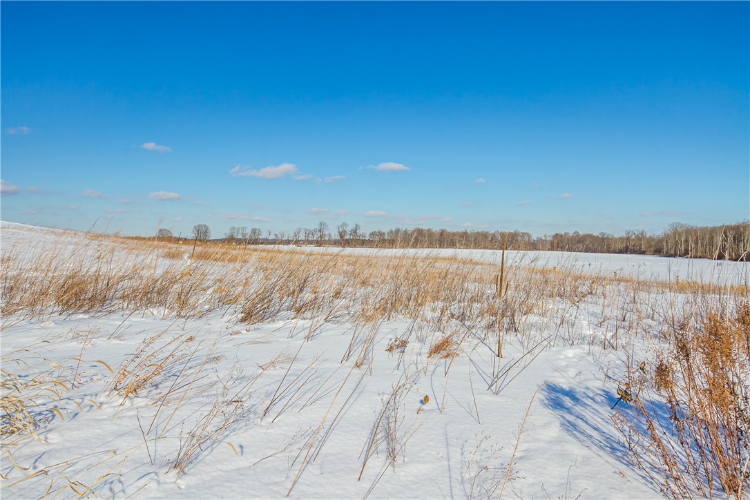 Taylor Road Mendon, NY 14506 - Photo 14 of 18 Sprawling lot with 1.3+ acres