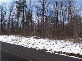 0 John Lewis Road Dunlap, TN 37327 - Photo 1 of 2 Primary Photo