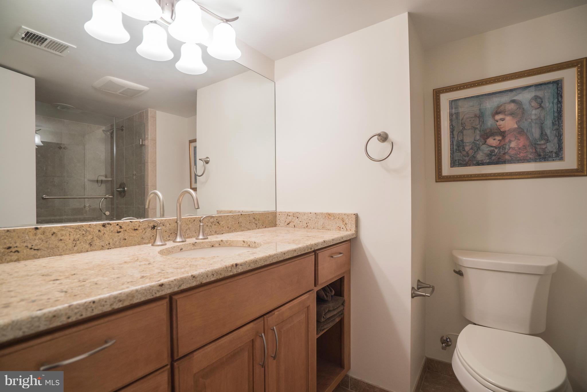 8401 Fort Hunt Road Alexandria, VA 22308 - Photo 16 of 29 Bath