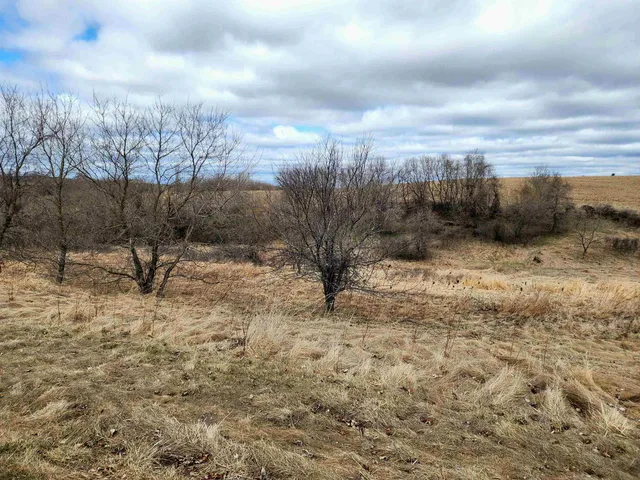 $30,000 | Lot 2 Honeycut, Tomah, WI 54660