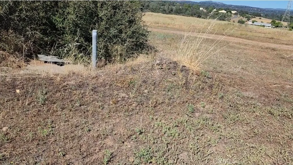 0 Foothill Oroville, CA 95966 - Photo 50 of 53 a view of a yard with a tree