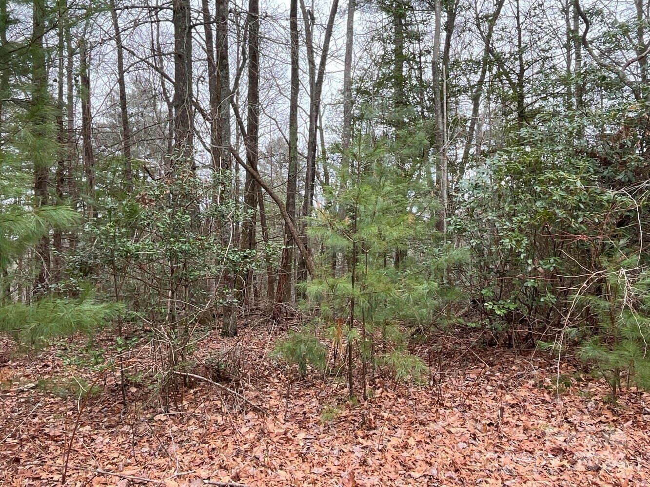 9999 Upper Whitewater Road, Unit 122 Sapphire, NC 28774 - Photo 2 of 10