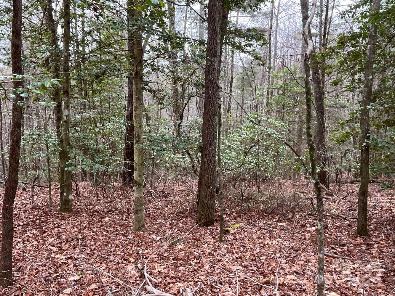 9999 Upper Whitewater Road, Unit 122 Sapphire, NC 28774 - Photo 3 of 10