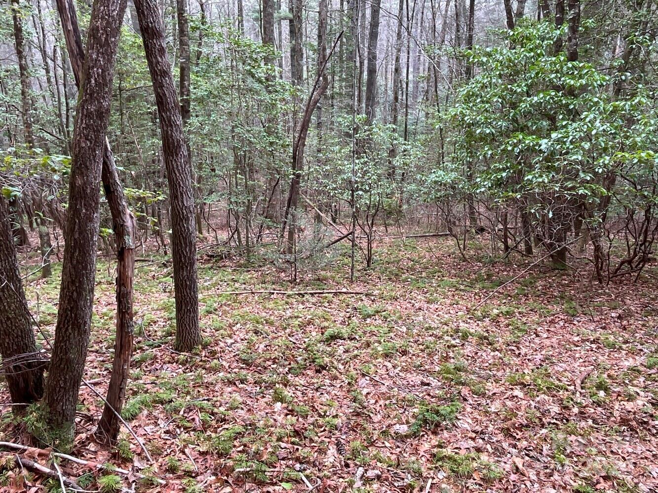 9999 Upper Whitewater Road, Unit 122 Sapphire, NC 28774 - Photo 5 of 10