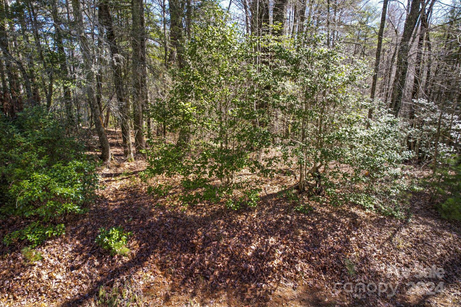 9999 Upper Whitewater Road, Unit 122 Sapphire, NC 28774 - Photo 6 of 10